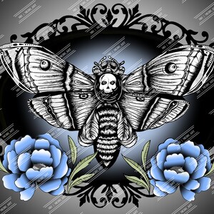 Death Head Moth