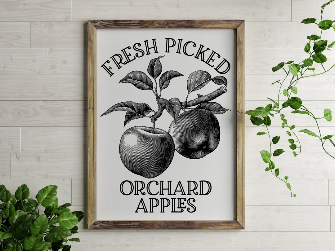 Apple Orchard SVG, Laser Engraved Apples Digital File, Ready