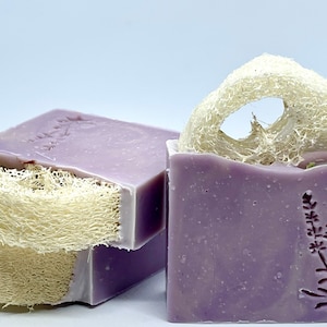 Lavender & Loofah Soap