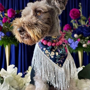 K&ouml;nnte beinhalten: Ein kleiner, grauer, drahthaariger Hund, der ein blaues und pinkfarbenes Blumenbandana mit wei&szlig;en Fransen tr&auml;gt. Der Hund sitzt vor einem blauen Hintergrund mit rosa und violetten Blumen.