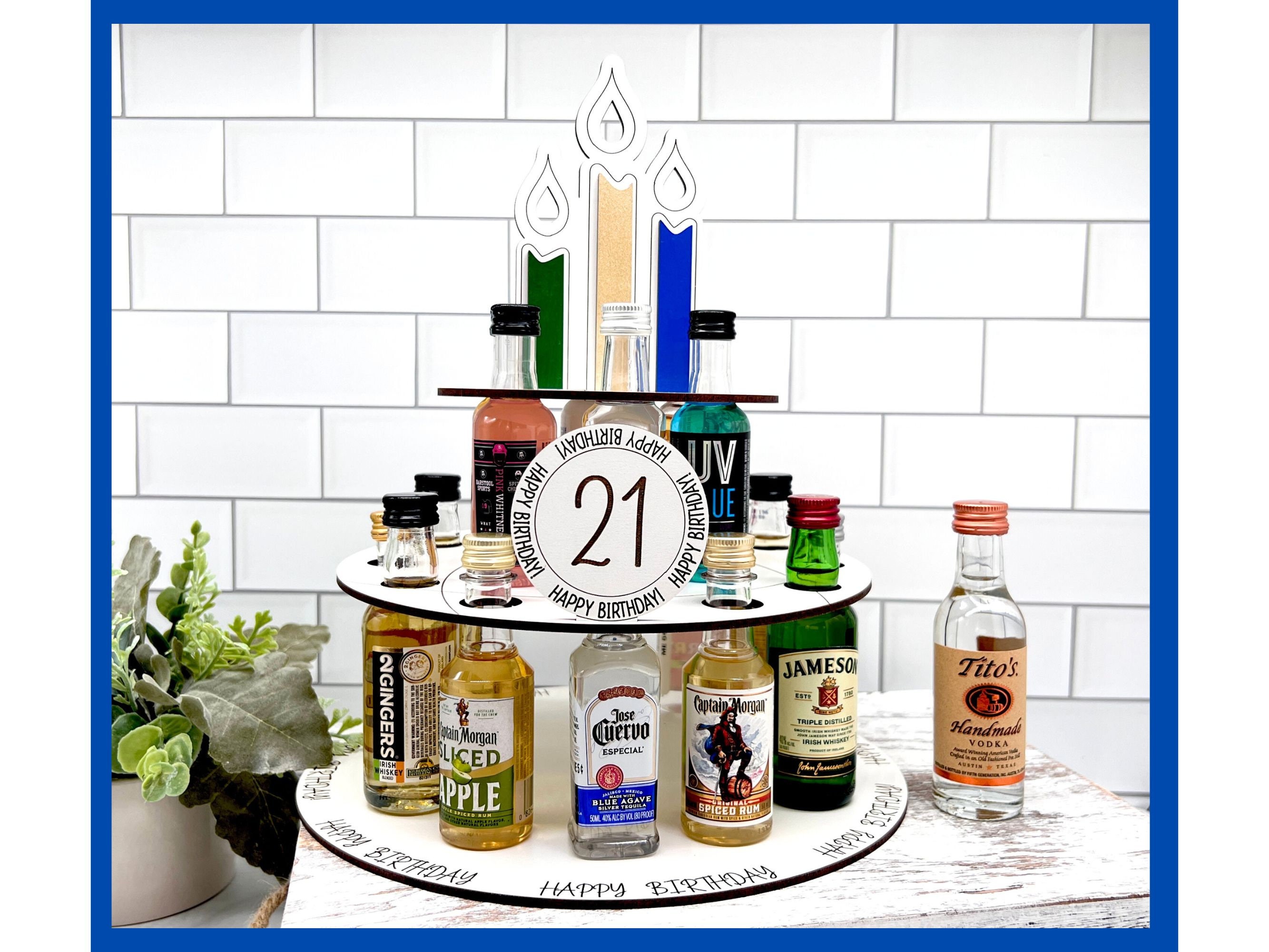 Alcohol 21st Gift Ideas For Guys 21 Year-old Male College Student