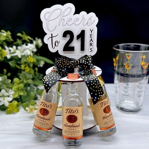 21st Birthday Gift for Her, Cheers to 21 Years Mini Liquor Bottle Stand, Alcohol Shot Cake Gift for Him, Female 21st Decoration, Centerpiece