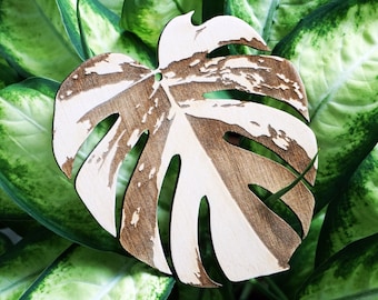 Monstera Deliciosa Variegata - Anhänger, Dekoration - Birkensperrholz mit Gravur - Dekoration für den Weihnachtsbaum - Weihnachten