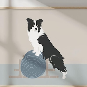 May include: A digital illustration of a black and white Border Collie dog sitting atop a blue exercise ball. The dog is positioned against a neutral background with a light blue stripe at the bottom.
