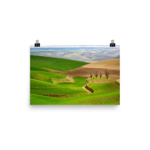 Washington State's Palouse Region Open Field Scenic Poster | Pastoral Wall Art | Housewarming Gift