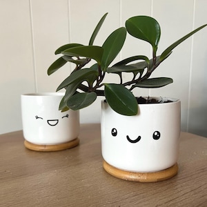 May include: Two white ceramic planters with smiling faces, each on a small wooden coaster. One planter holds a green plant with dark green leaves. The planters sit on a wooden table. The background is a white wall.