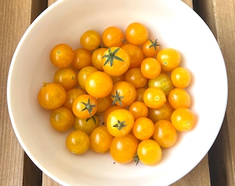 Orange Hat Micro Dwarf Tomato seeds, 20+ fresh seeds, 2025-2026 harvested, hydroponic plant, micro tom tomato plant, indoor/outdoor garden