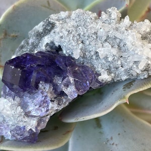 Exceptional  High Quality Purple Fluorite Cluster from Fujian, China