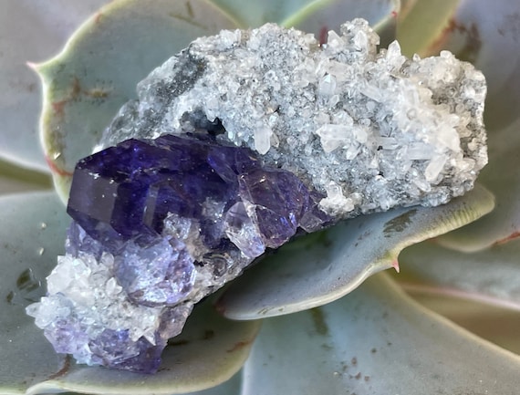Purple Fluorite Cluster: Xia Yang Mine, Fujian China - Etsy Israel