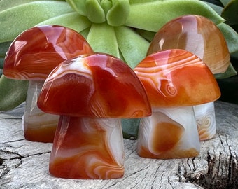 Verkwikkend Sardonyx-paddenstoelbeeldje