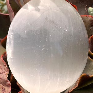 Substantive Polished Selenite Palm Stones