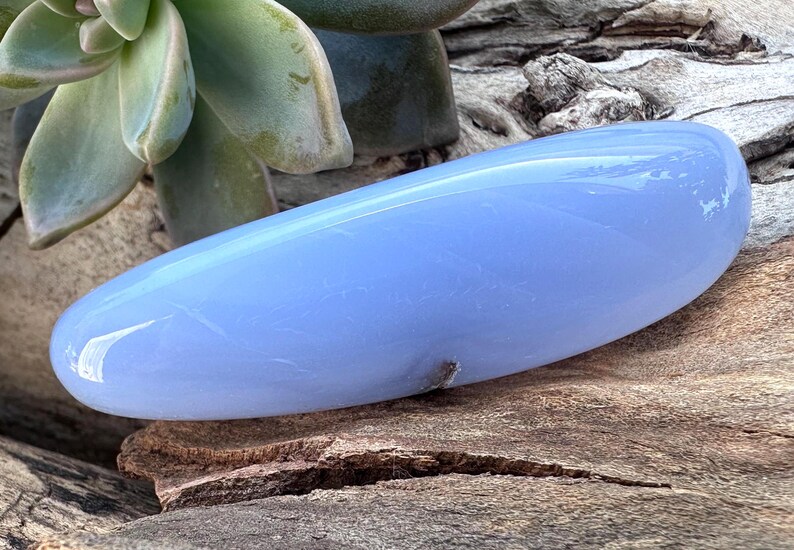 May include: A smooth, elongated, light blue gemstone rests on a piece of weathered wood. The stone has a polished, glossy surface and a rounded shape. The background includes a green succulent plant.