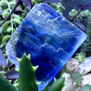 Puede incluir: Un cristal rectangular azul profundo con vetas blancas. El cristal se encuentra sobre un fondo de plantas verdes y moradas, creando un contraste natural. La superficie del cristal es translúcida, permitiendo el paso de la luz. El cristal mide aproximadamente 7 cm de largo.