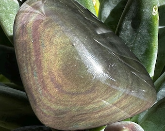 Velvet Obsidian Small Palmstone From Mexico