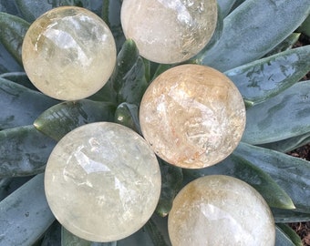 Citrine Mini Spheres  from Brazil