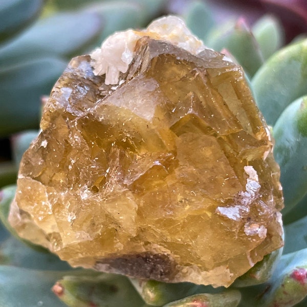 Stunning Yellow Fluorite Cluster from Moscona Mine, Spain