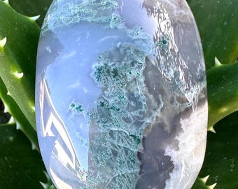 磨かれたモスアゲートのパームストーン（ドゥルージー洞窟入り） – 新しい始まりのクリスタル