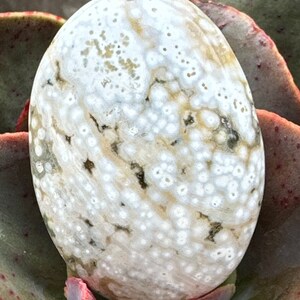 Mystical Ocean Jasper Small Palm Stone From Madagascar