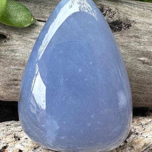 May include: A smooth, teardrop-shaped, pale blue gemstone with a glossy finish. The stone is set against a backdrop of weathered wood and green foliage, creating a natural aesthetic. The polished surface reflects light, highlighting the stone's color and form.