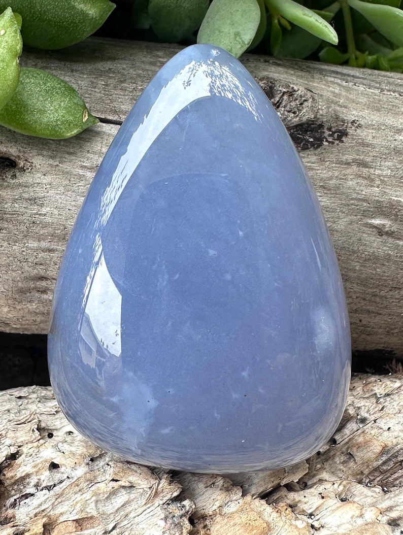May include: A smooth, teardrop-shaped, pale blue gemstone with a glossy finish. The stone is set against a backdrop of weathered wood and green foliage, creating a natural aesthetic. The polished surface reflects light, highlighting the stone's color and form.