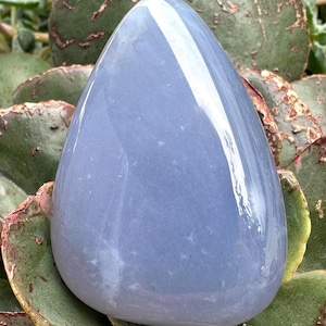 May include: A smooth, teardrop-shaped, pale blue crystal stone. The polished surface reflects light, creating highlights. The stone rests on a bed of green and reddish-brown succulent leaves. This gemstone is a natural, decorative item.