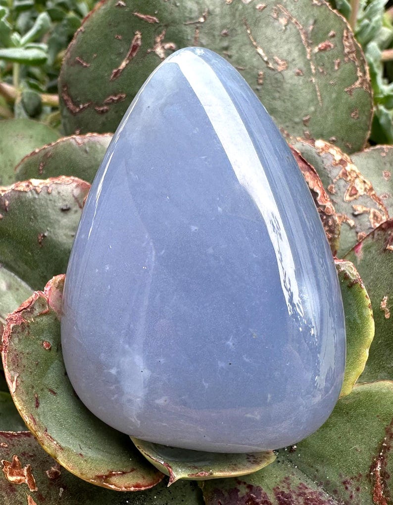 May include: A smooth, teardrop-shaped, pale blue crystal stone. The polished surface reflects light, creating highlights. The stone rests on a bed of green and reddish-brown succulent leaves. This gemstone is a natural, decorative item.