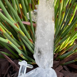 Enchanting  Lemurian Quartz Crystal Point Cluster from Boyaca, Columbia