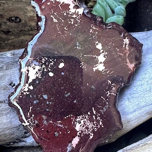 Könnte beinhalten: Ein unregelmäßig geformter, dunkelroter Stein mit weißen und silbernen Akzenten. Der Stein hat eine glänzende Oberfläche und einen hellblauen Rand. Der Stein wird auf einem Stück Treibholz mit grünen Pflanzen im Hintergrund präsentiert.