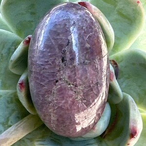 May include: A polished, purple and white gemstone with a smooth, oval shape. The gemstone is resting on a green succulent plant.