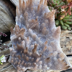 Amethyst Flower Plate: Raw Crystal Cluster from Brazil