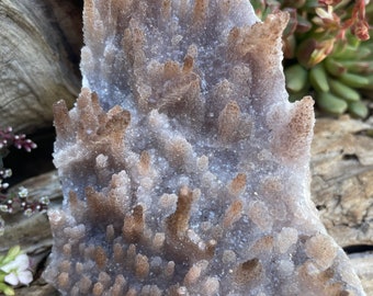 Wunderschöner Amethyst Blumen Teller aus Brasilien