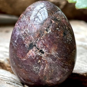 Ruby Egg from India