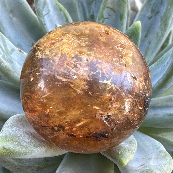 Amber Sphere From Dominican Republic