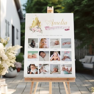 Collage de fotos del primer año de Princess Milestone, celebración real, cartel imprimible del primer año del bebé, primer signo de cumpleaños, cumpleaños de la princesa PR1