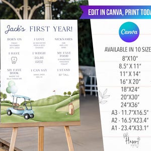 Hole In One 1st Birthday Milestone Poster, My First Year Golf Birthday Milestone Board Canva Editable Template Hole in One Birthday GO1 image 3