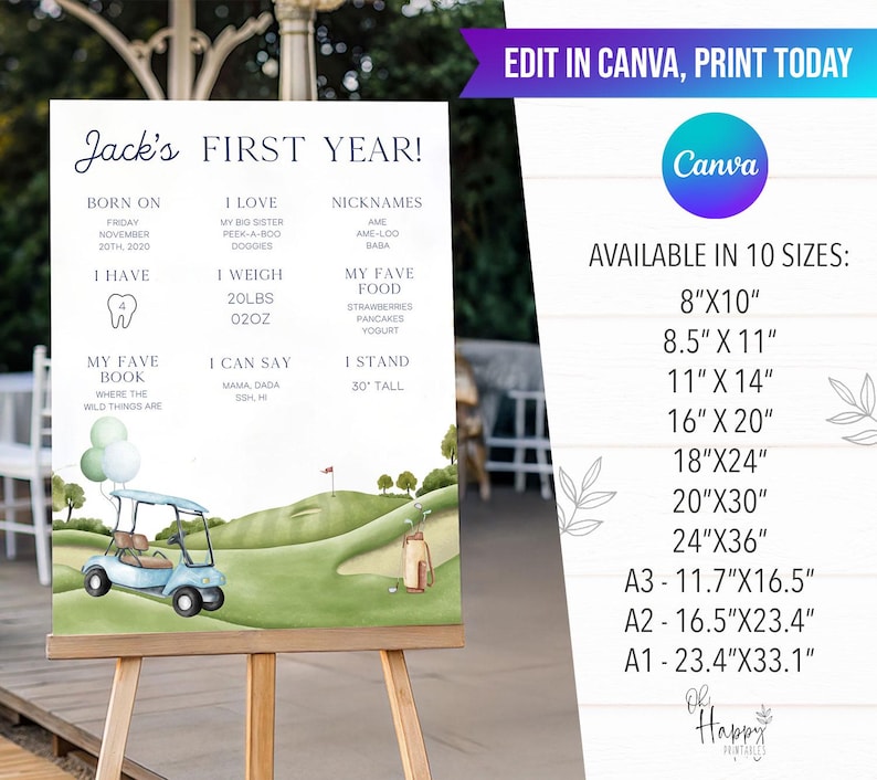 Hole In One 1st Birthday Milestone Poster, My First Year Golf Birthday Milestone Board Canva Editable Template Hole in One Birthday GO1 image 3