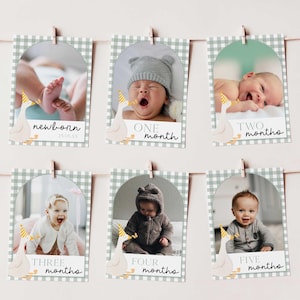 Modèle de bannière photo premier anniversaire One Silly Goose, cartes d'étape mensuelles modifiables pour bébé 1ère année guirlande photo imprimable OSG
