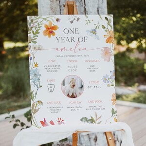 May include: A decorative sign for a first birthday, featuring floral illustrations in orange, blue, and pink. The sign includes the text "ONE YEAR OF amelia" and details about the child, such as weight, height, and favorite things.