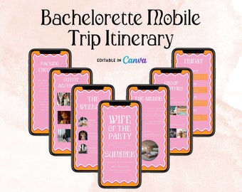 DAISY PINK Bachelorette Itinerary Mobile Template, Bachelorette Weekend Travel Itinerary, Canva Template, Hen Weekend, Bachelorette DS2