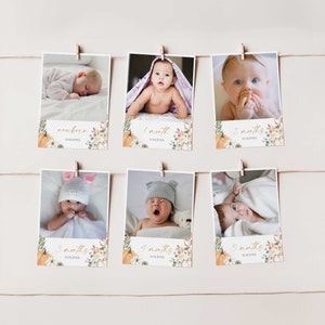 Modèle de bannière photo de premier anniversaire de petite citrouille, cartes d’étape mensuelles de 1ère année de bébé modifiables à la citrouille, guirlande de photos imprimables, LP4