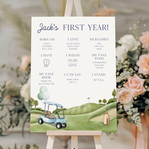 Hole In One 1st Birthday Milestone Poster, My First Year Golf Birthday Milestone Board Canva Editable Template Hole in One Birthday GO1 image 6