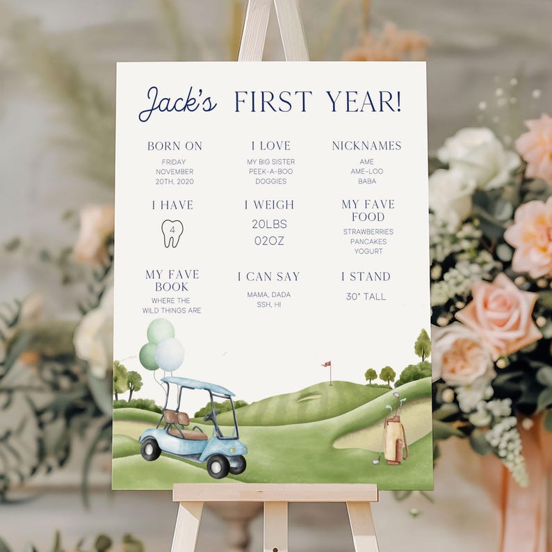 Hole In One 1st Birthday Milestone Poster, My First Year Golf Birthday Milestone Board Canva Editable Template Hole in One Birthday GO1 image 6