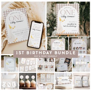 One Silly Goose 1st Birthday Party, One Silly Goose 1st Birthday Invite, One Silly Goose First Birthday Party Decor, Silly Goose Party OSG