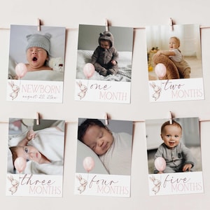 Some Bunny Is One First Birthday Photo Banner Template, Editable Baby&#39;s 1st Year Monthly Milestone Cards Printable Photo Garland SBIO