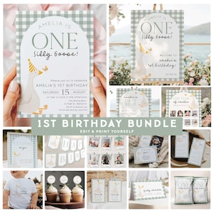 One Silly Goose Birthday Bundle, Sage Green One Silly Goose 1st Birthday, One Silly Goose First Birthday Party Decor, Silly Goose Party OSG