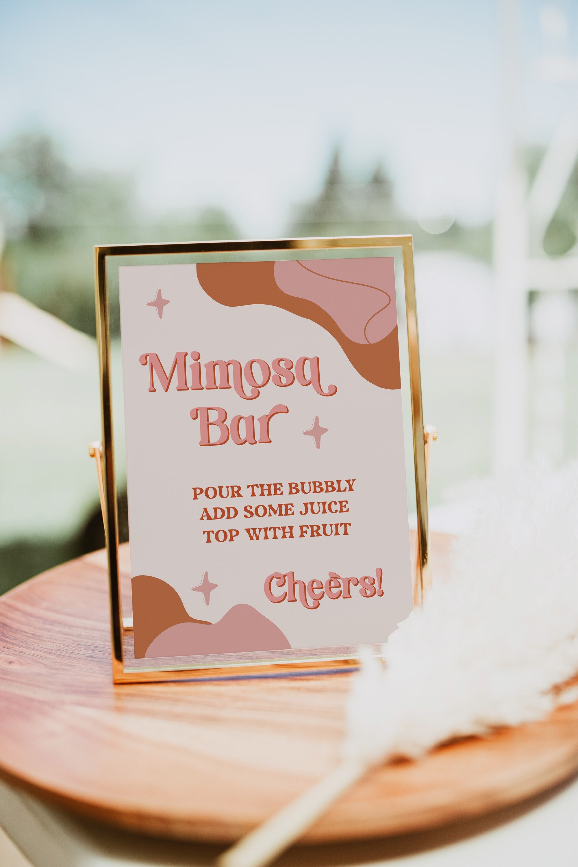 feather boa backdrop and banner - with a champagne / mimosa bar  Bridal  bachelorette party, Bachelorette party decorations, Bachelorette party  planning