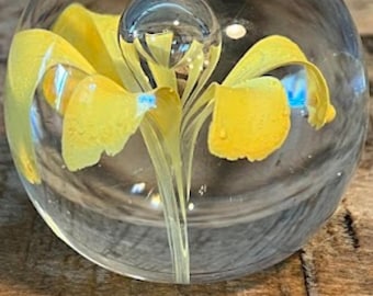 May include: A clear glass paperweight with a yellow iris flower encased inside. The flower has detailed petals and a stem, with a small bubble at the top. The paperweight is round and sits on a wooden surface.