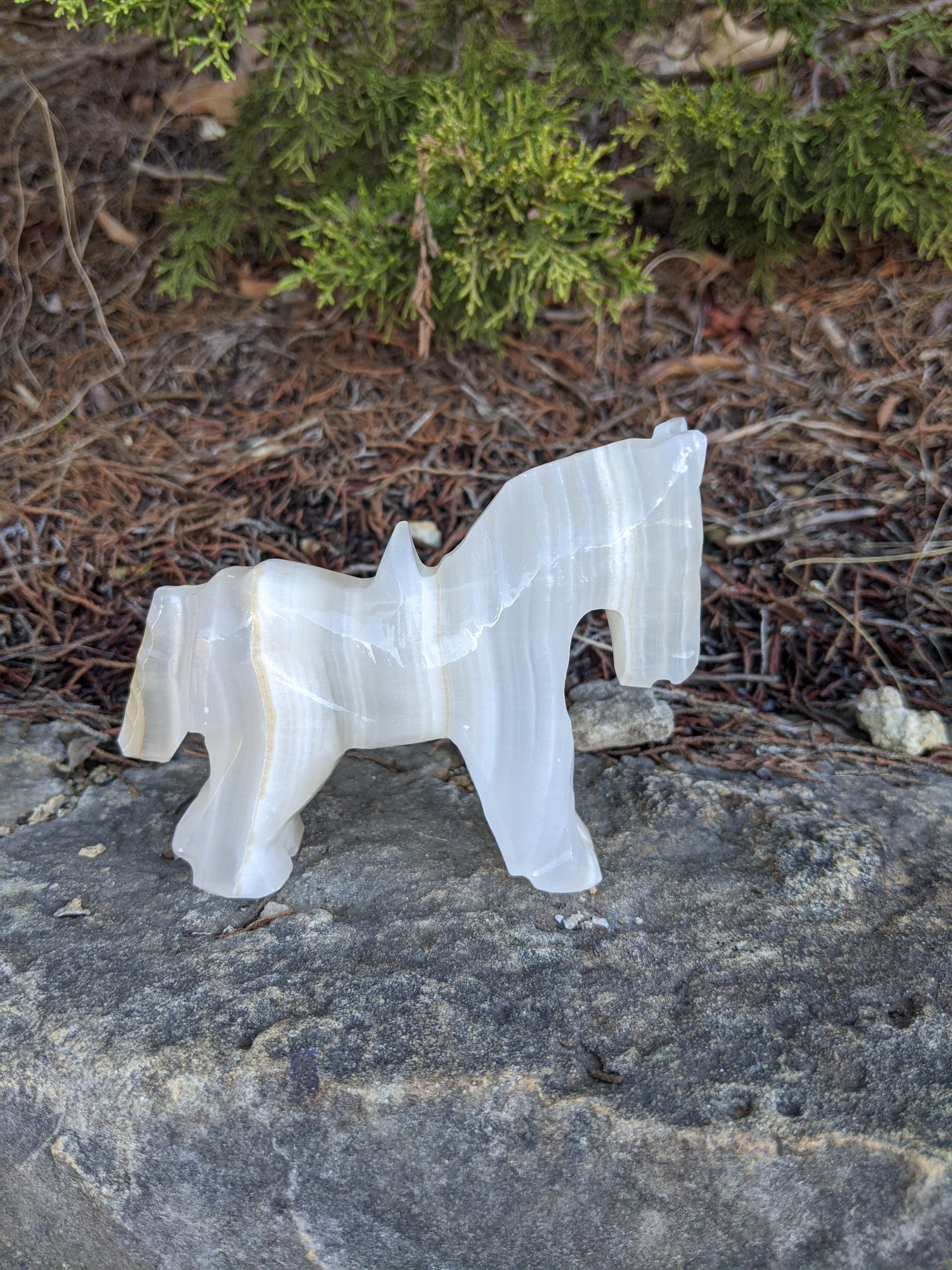 the wishing stone donkey