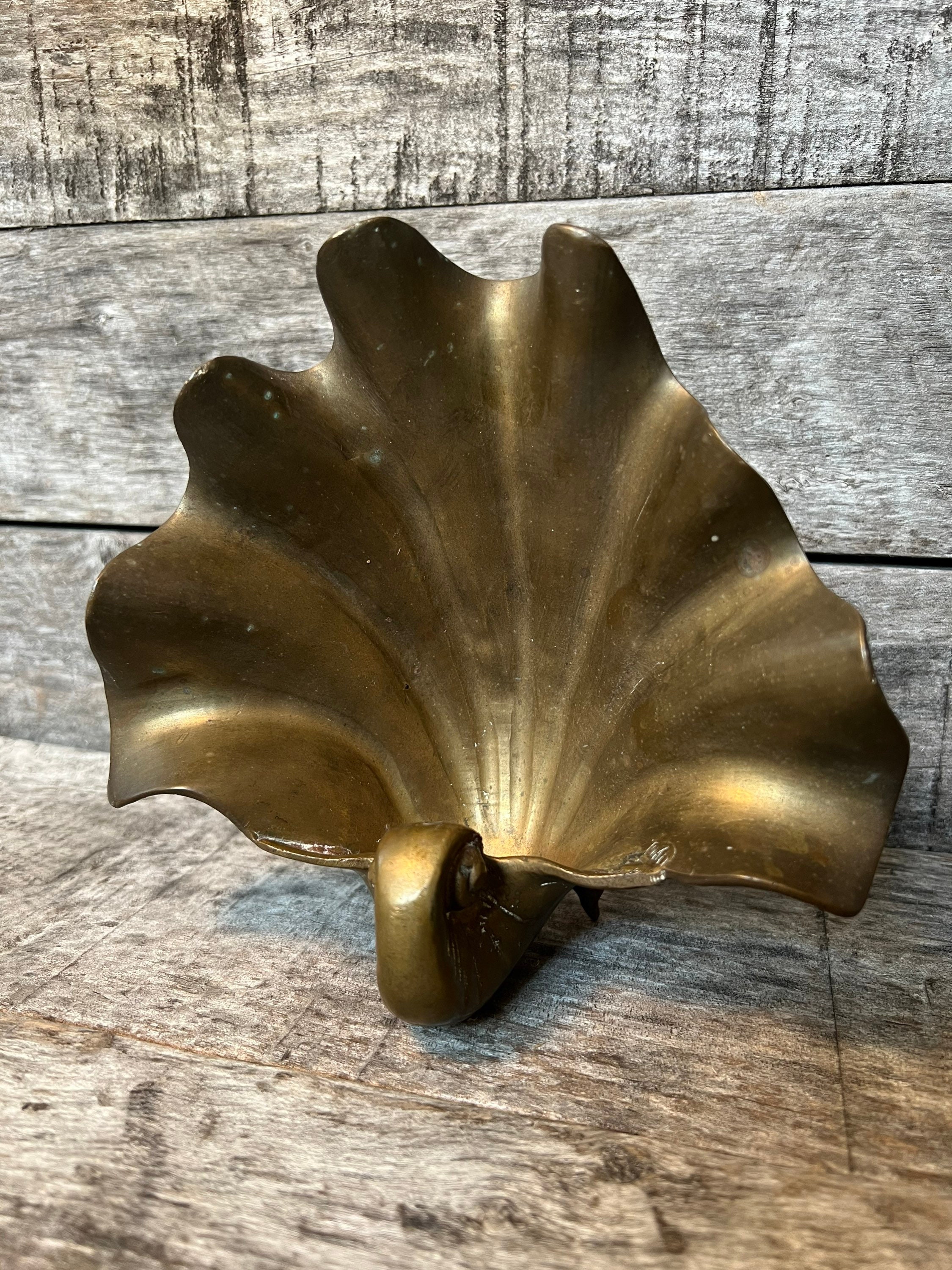 Brass shell on sale wall sconce
