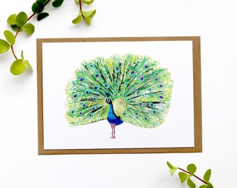 Card peacock cheerful card for birthday birthday card card diploma greeting card animal drawing